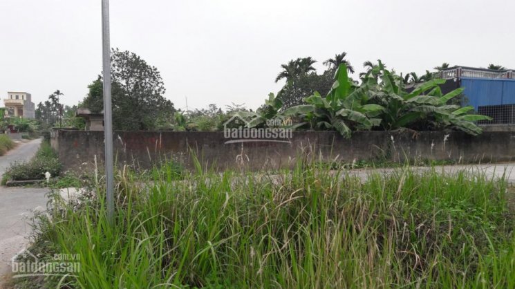 Cho thuê 900m2 đất 3 mặt tiền tại khu dự án thôn Vân Tra, xã An Đồng, Anh Dương, Hải Phòng.